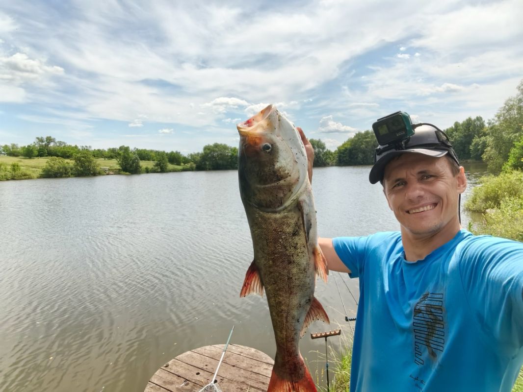 ��� ������ ����������� ������������: ��� ����������� �������