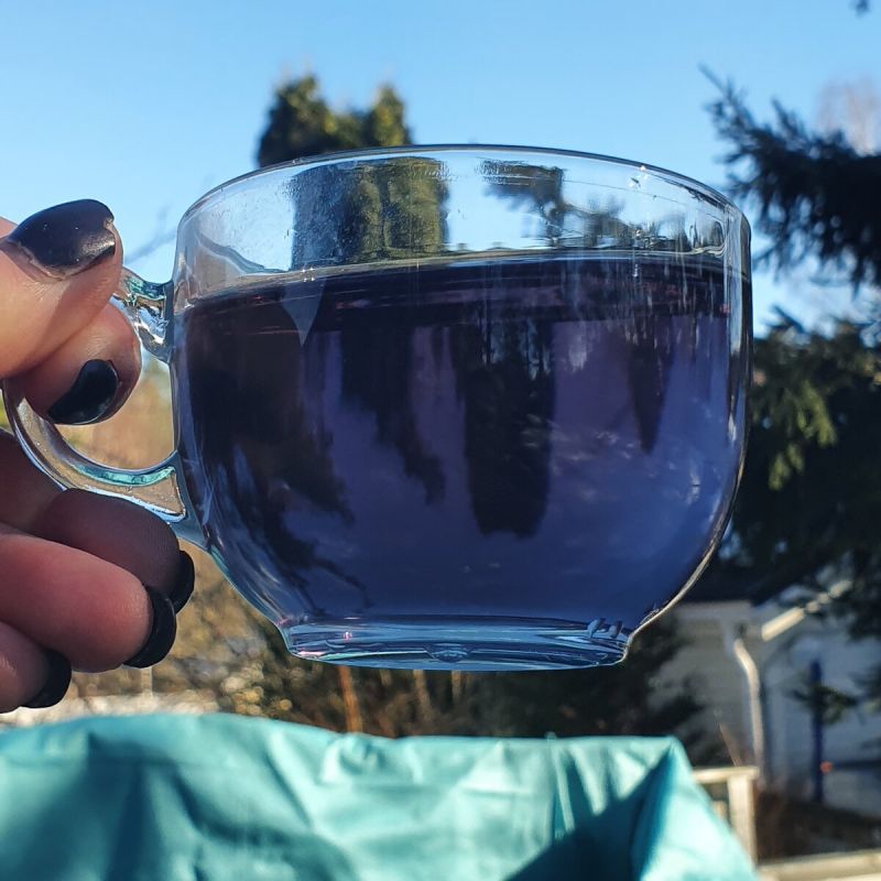 �������� ���: ����� ������������� ������� � ����������� ������