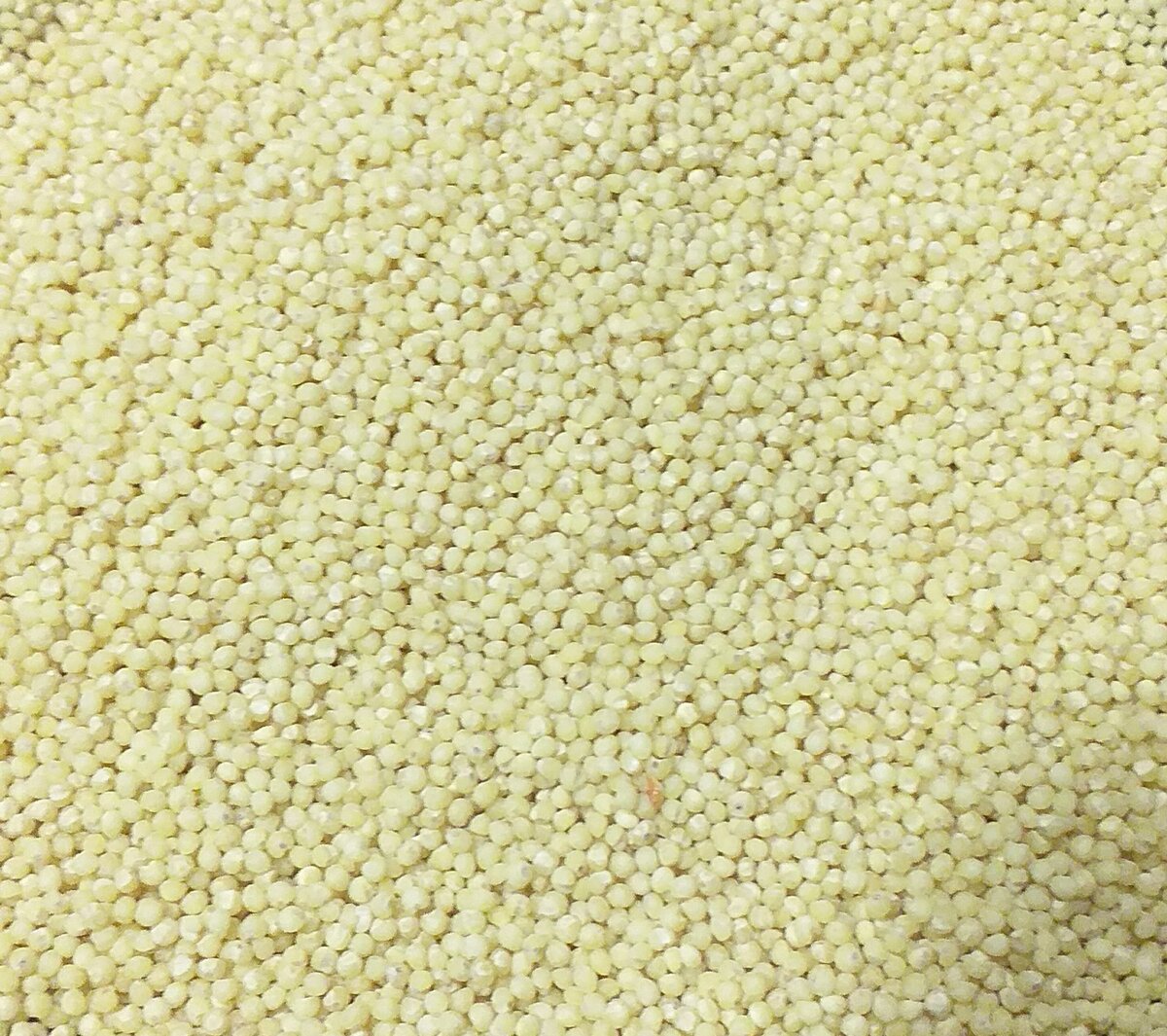 Пшено: Как приготовить его без горечи и насладиться вкусом