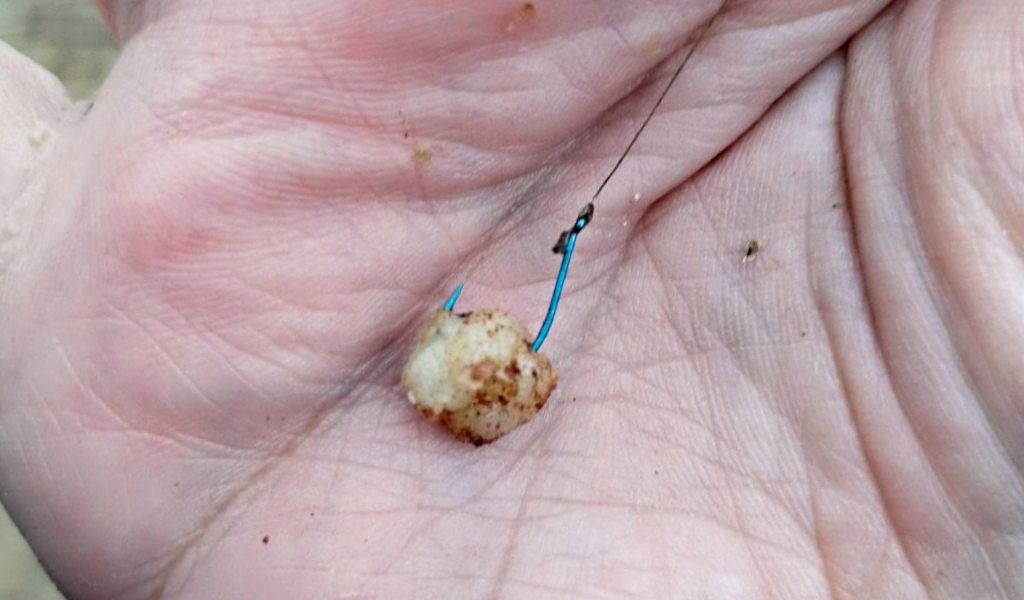 Необычные приманки: как сало привлекает рыбу