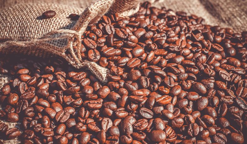 �����: ��� �������� ���� �������� ���