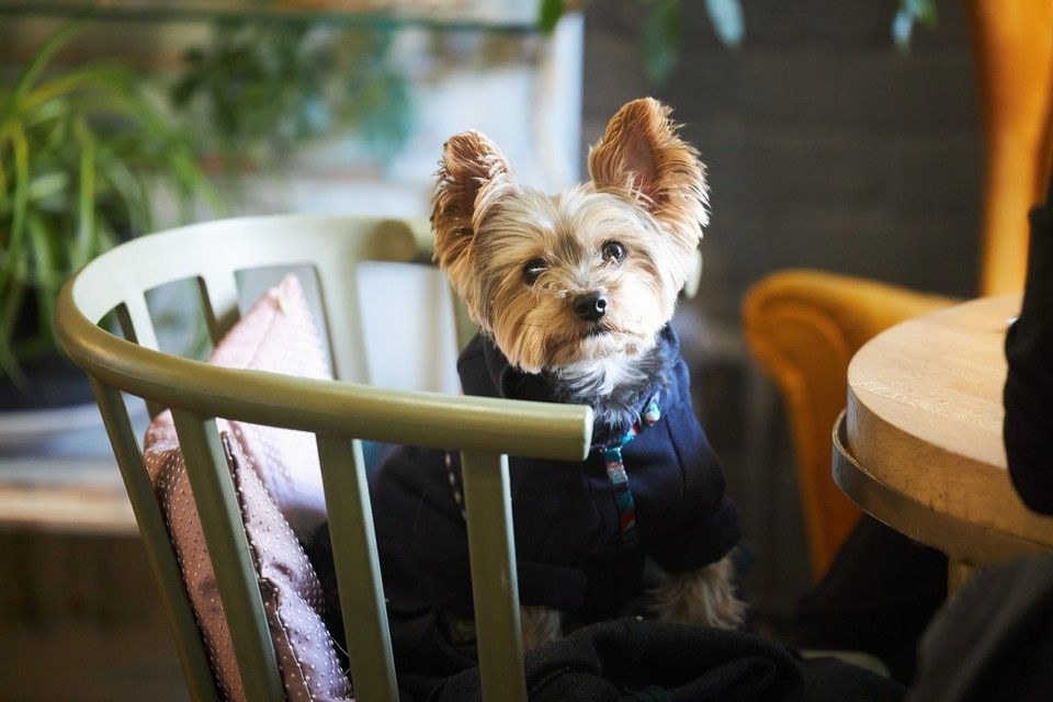 ���� �� ��� ��� ���� � ��������� ������� ������� ��������