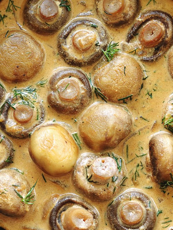 ����� � ������ �����: ������� � ������� ������� ��� �����