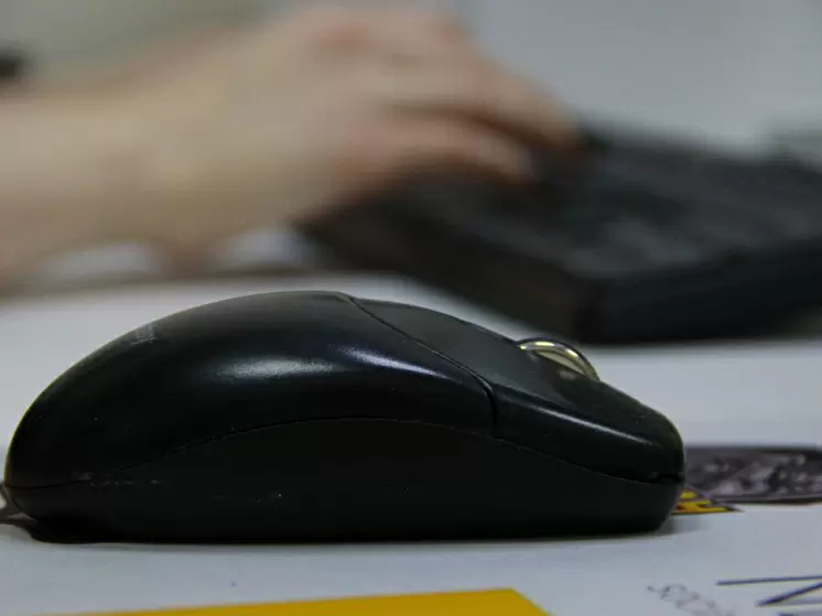 Туляки о себе: почти каждый пятый признает, что ленив