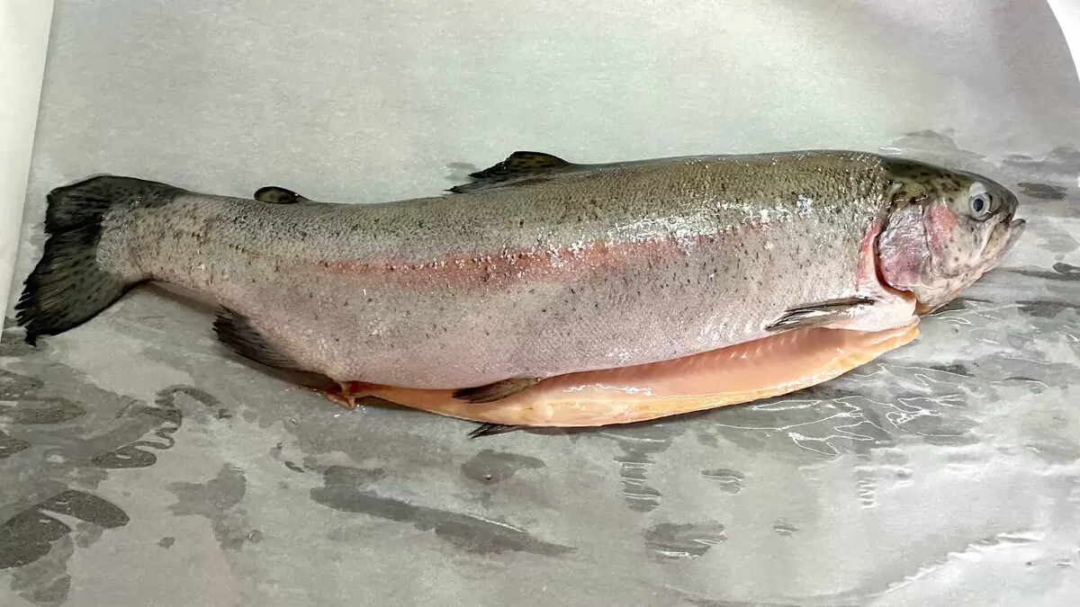 Как приготовить рыбу для салатов и паштетов: пошаговое руководство