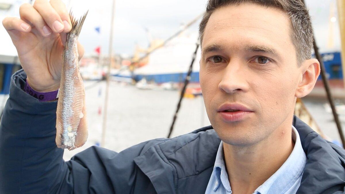 �������: ������ � ����� ������� ����