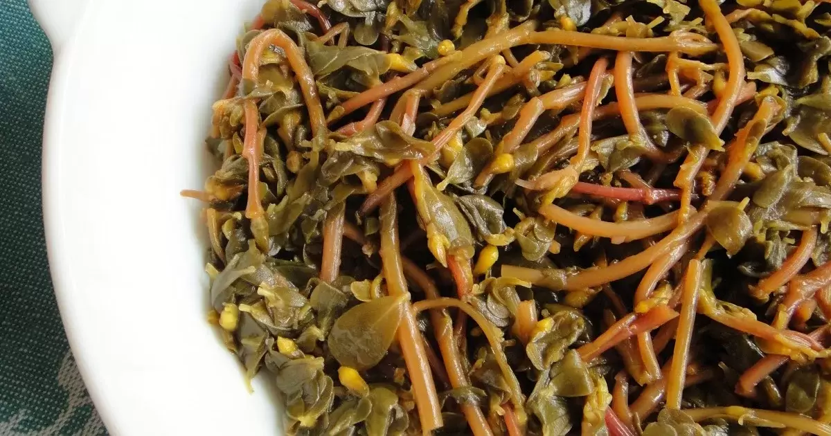 Как портулак стал суперфудом: позабытая зелень из детства вернулась на столы