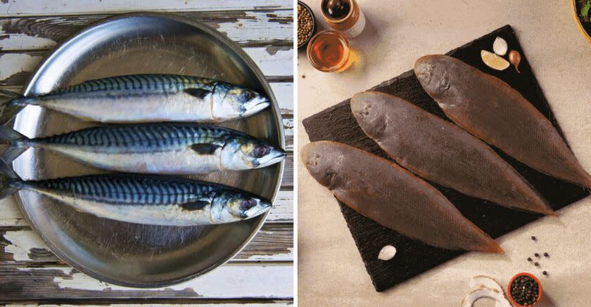 ���-5 ����� ����, ������� ����� �������� � ������