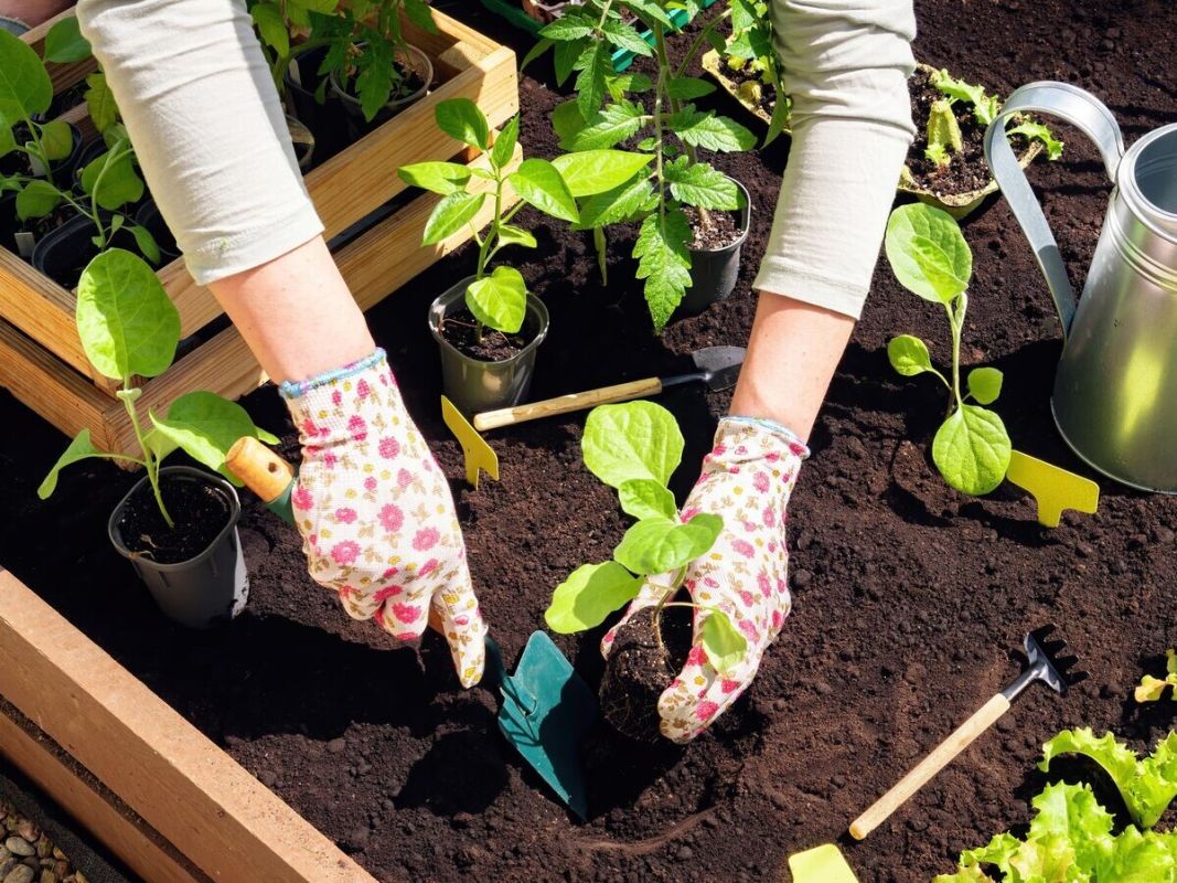 ������� ��������� ����������� ����������: ����� � ��� ������ � 2026 ����