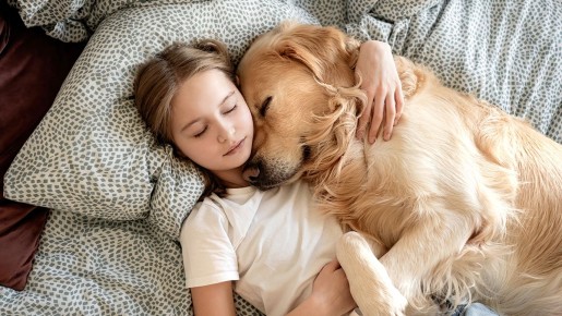 ����� � �������: ������ ����������� � ���������� � 2026 ����