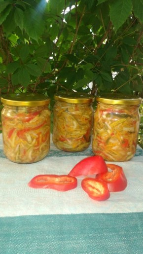 ����� ������ ����: ��������� �������� �� ������ ��� ��� �����