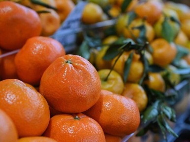 ������ ������ ���������� �� �������� ������: �������� � ���������� ����