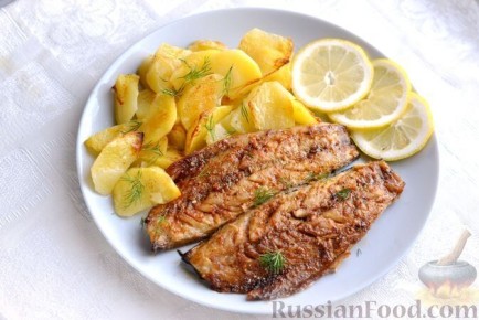 ������� ���� ��� ���������� ��������