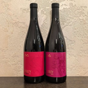 ���� AYA: ������ � �������� 2023 ����