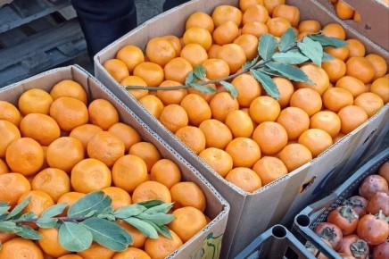 ������ ���������: ���������, �� ��������� �� ����