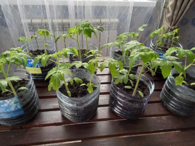 ��� ���������� �� ������: ��� ��������� �������� ��� ������ � �������