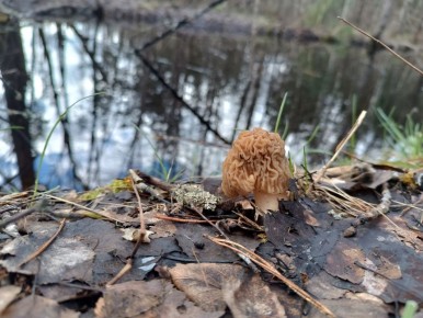 �������� ����� � ������: ��� ����� ������� �� �� ����