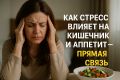 ��� ������ ��������� ��������� � ��� � �������� ���������