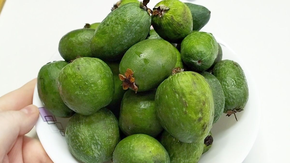 Секреты фейхоа: как приготовить вкусный сорбет и варенье без варки